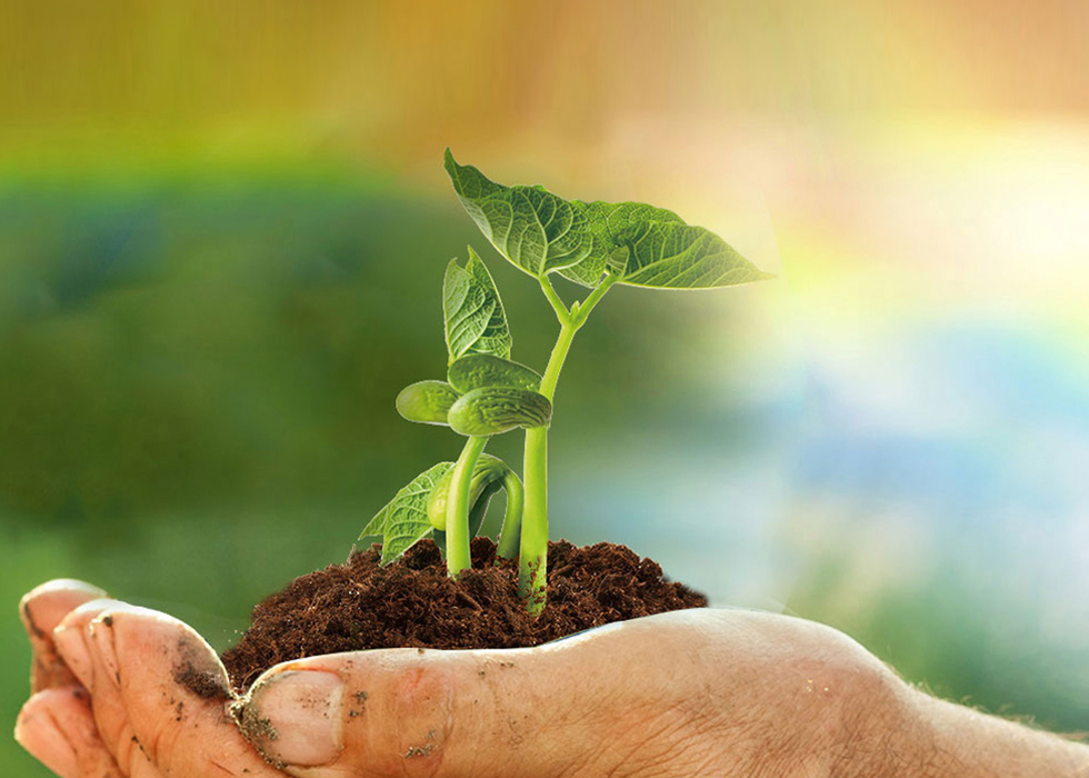 云顶集团(中国区)官方网站